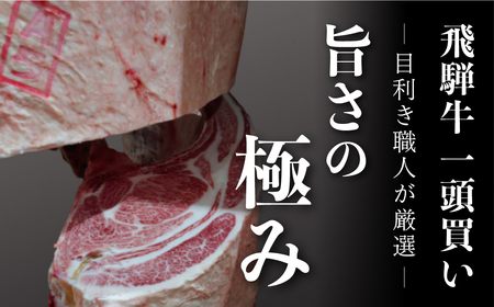 《定期便》飛騨牛ロースすきやき、しゃぶしゃぶ　贅沢三昧定期便 3回 2か月に1回お届け ロースすき焼き しゃぶしゃぶ 牛肉 国産 A5 等級 だるまミート 岐阜県 白川村 贅沢 冷凍 75000円 [
