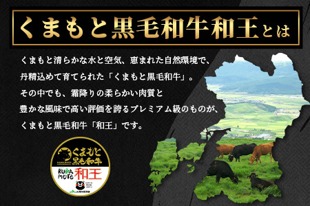 くまもと黒毛和牛(和王) ロースステーキ 400g(200g×2) ブランド牛 肉 ロース ステーキ 焼肉 霜降り 赤身 芳醇 BBQ  牛肉 冷凍 精肉 国産 牛 プレミアム品質 122-0515