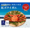 【ふるさと納税】【蟹セレブ】ズワイガニ(紅ズワイガニ)大1杯(500～600g×1)【配送不可地域：離島・北海道・沖縄県・東北・関東・信越、北陸・東海・九州】【1543623】