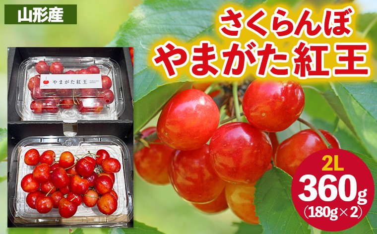 
            さくらんぼ ”やまがた紅王” 2Lサイズ (180g×2パック入り) 【令和8年産先行予約】FS25-054
          