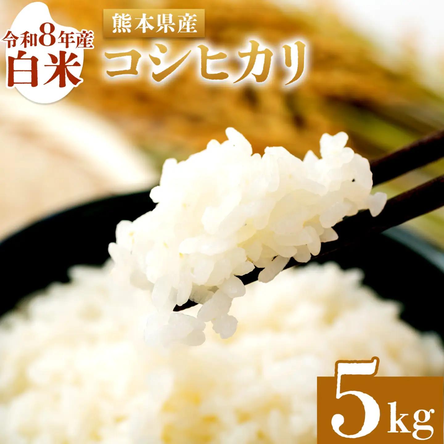 米 白米 コシヒカリ 令和8年産 5kg 森田農園