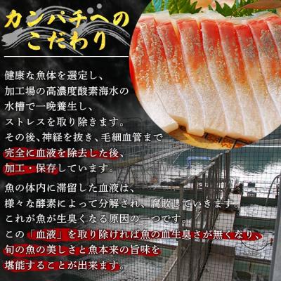ふるさと納税 西予市 <異次元の鮮度!「超冷薫」冷凍カンパチ ロイン(5kg)>　かんぱち　海鮮　魚介　西予 |  | 02