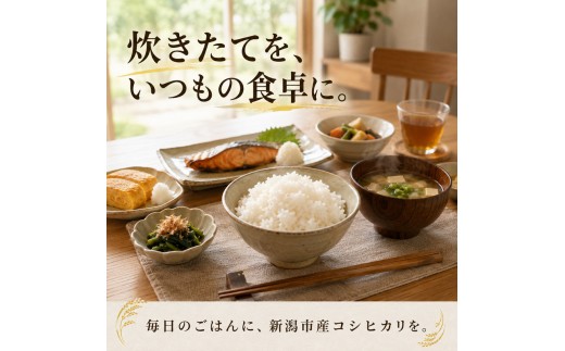 【先行予約】令和8年産 新潟県産 新之助 5kg 米 精米 白米 こめ コメ お米 おこめ 新潟 新潟県