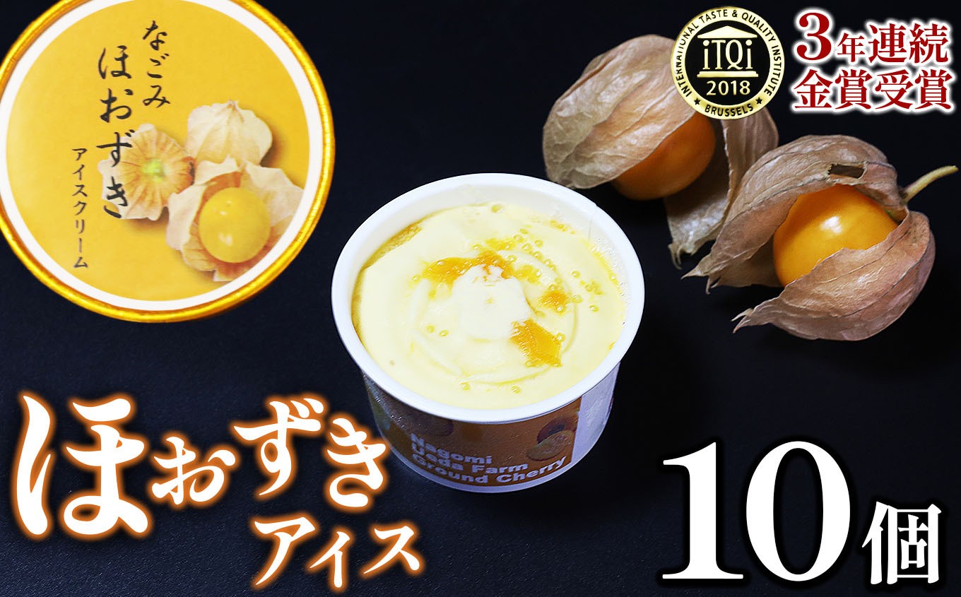 
            【 国際味覚コンクール 3年連続金賞受賞 】プリンセスほおずき使用 なごみほおずきアイスクリーム 10個 | 熊本県 和水町 くまもと なごみまち なごみ アイスクリーム アイス スイーツ デザート おやつ ほおずき 果物 野菜 ギフト
          