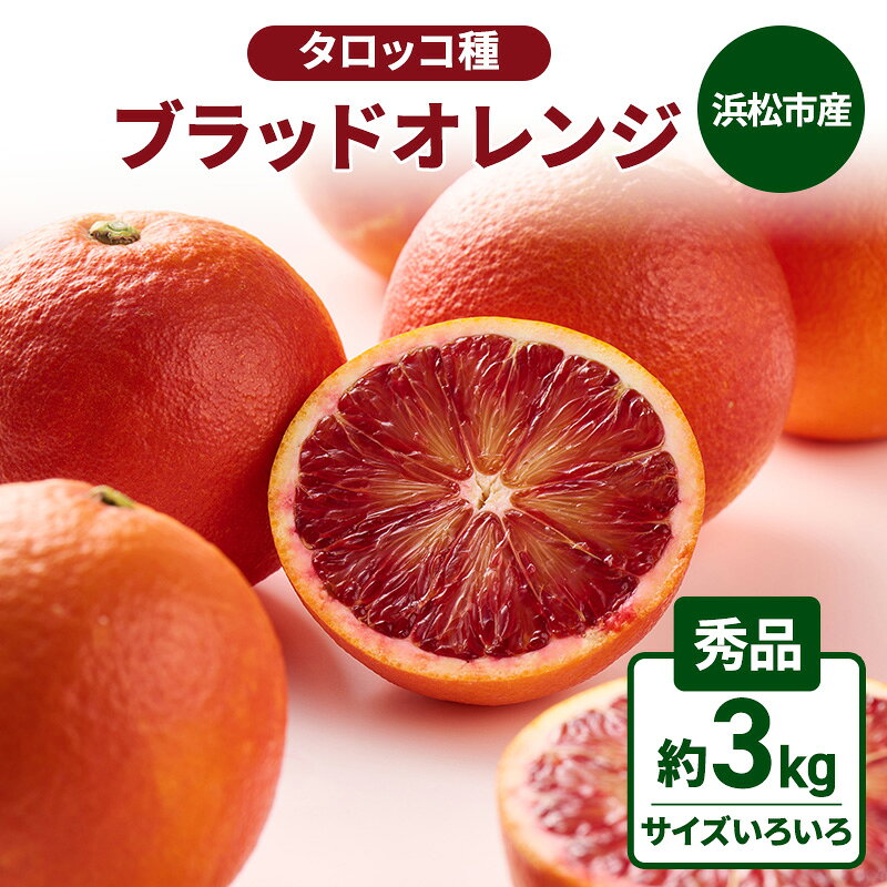 【ふるさと納税】果物 静岡県浜松市産 約3kg ブラッドオレンジ タロッコ種 秀品 サイズいろいろ 柑橘 濃厚な甘み 爽やかな酸味 国産 タロッコ 希少 産地直送　お届け：2027年2月15日～2027年4月30日まで