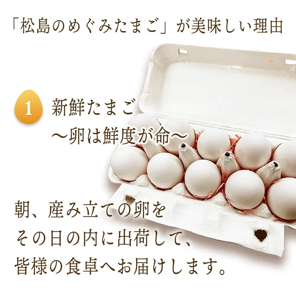 松島のめぐみたまご 40個入り 6ヵ月定期便 No.165