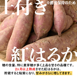 isa521 《訳あり》熟成紅はるか(約5kg・SS～LLサイズ混合) 訳あり さつまいも 紅はるか 鹿児島 生芋 完熟 長期熟成 土付き べにはるか サツマイモ 焼き芋に【いさ工房】
