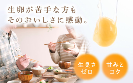 【12ヶ月定期便】平飼い 山もりたまご 40個 安心安全 おいしさに感動 たまご 卵 高級卵 平飼い 安心安全 飼料にこだわり 成長剤 ホルモン剤 添加物不使用 12回定期便