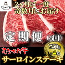 【ふるさと納税】【奇数月にお届け】むなかた牛サーロインステーキ 1kg（250g×4枚）定期便【すすき牧場】_HB0120 送料無料定期便 6回 ステーキ 牛肉 美味しい 贅沢 宗像市