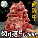 【ふるさと納税】 飛騨牛 切り落とし 600g 牛肉 和牛 肉 お肉 切落し 不揃い にく 切り落し 東白川村 ブランド牛 国産 人気 おすすめ 薄切り きりおとし 岐阜 すき焼き お取り寄せ 冷凍 10000円 1万円