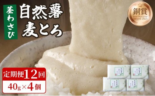 ＜定期便・全12回＞自然薯茎わさびとろろ 40g×4個|自然薯 小分け じねんじょ とろろ 山芋 やまいも 長芋 ながいも ご飯のお供 山葵 ワサビ おつまみ 酒の肴 山かけ 麦とろ そば うどん 鉄火巻 鉄火丼 茎ワサビ 冷凍 送料無料 福岡県 那珂川市