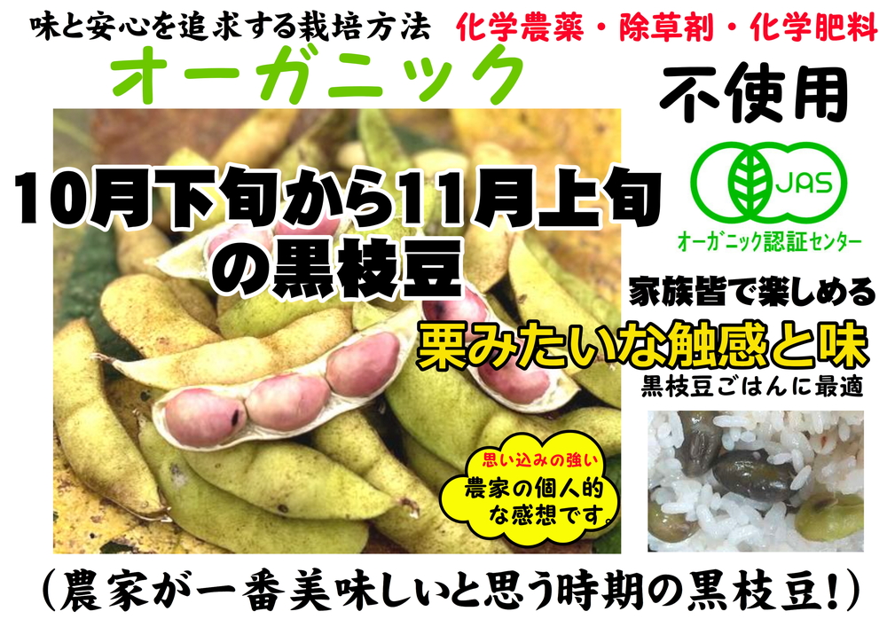 【令和8年10月中旬頃から11月上旬頃発送予定】日本遺産 丹波篠山市 JAS有機栽培 オーガニック黒枝豆（200ｇ×5袋） プレミアム枝豆 期間限定 黒枝豆 えだまめ エダマメ お取り寄せグルメ 高級