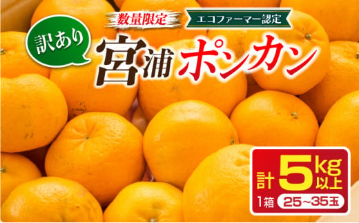 先行予約 訳あり 数量限定 宮浦 ポンカン 計5kg以上 フルーツ 果物 くだもの 柑橘 みかん 国産 食品 期間限定 訳アリ おすすめ デザート おやつ フルーツサンド ジュース ご家庭用 ご自宅用 B品 おすそ分け 不揃い 傷 産地直送 宮崎県 日南市 送料無料_A75-22