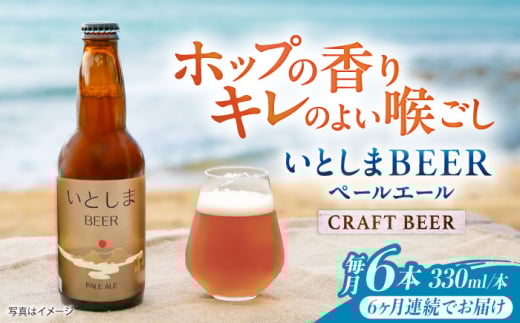 【全6回定期便】いとしまBEER (ペールエール) 330ml×6本 糸島市 / 蔵屋 クラフトビール [AUA051]