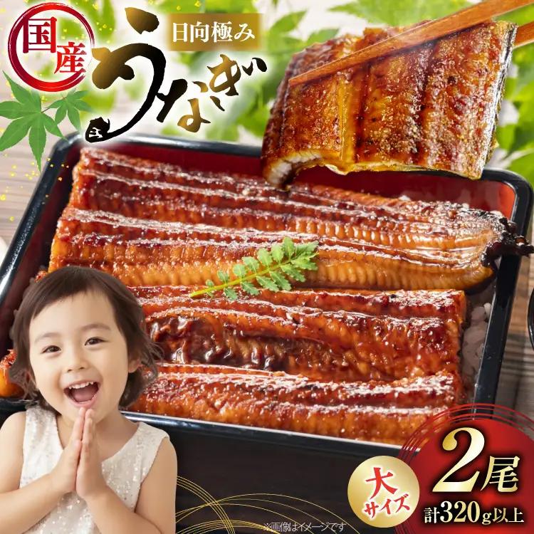 うなぎ 国産 日向極み うなぎ蒲焼 2尾 計320g以上 [日向サンパーク 宮崎県 日向市 452061713]