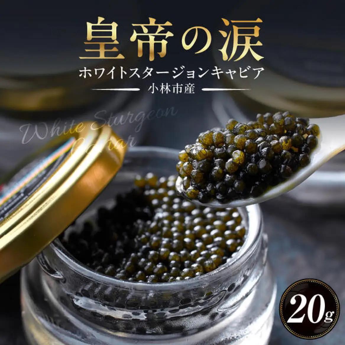キャビア 皇帝の涙 ホワイトスタージョンキャビア 20g 