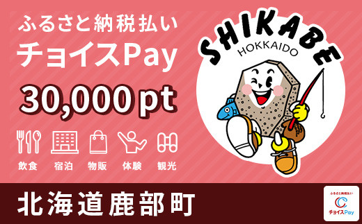 
海産物などの特産品のお買物に！鹿部町 チョイスPay 30,000ポイント【会員限定のお礼の品】
