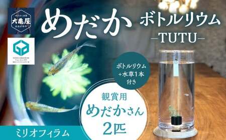 めだかボトルリウム-TUTU- 【水草(ミリオフィラム)】 KB