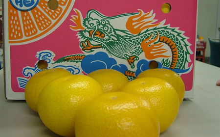 丸龍 はっさく10kg 香川県 丸亀市