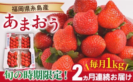 【先行予約】【全2回定期便】糸島産【冬】 あまおう 4パック 毎月計1kg 【2025年12月上旬以降順次発送】糸島市 / 南国フルーツ株式会社 [AIK024]