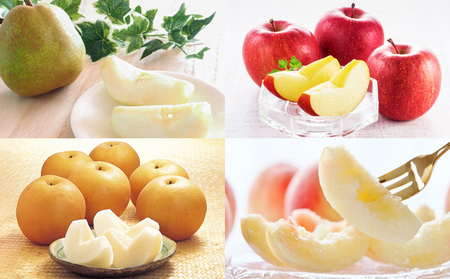 【定期便4回】☆フルーツ王国山形☆『ラ・フランス、りんご、和梨、白桃』 FY25-319