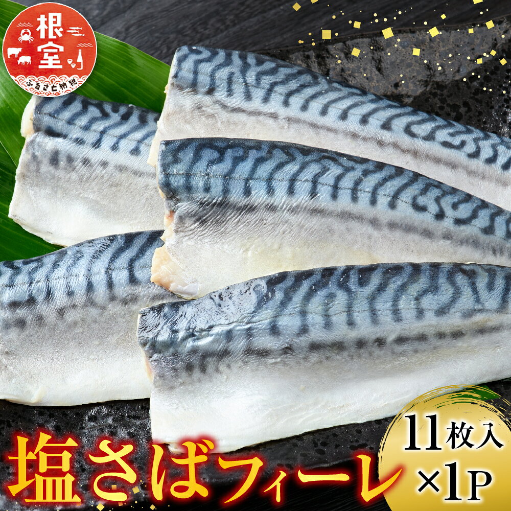 【ふるさと納税】 塩さばフィーレ 11 枚入 × 1P サバ 鯖 さかな サカナ 魚 お取り寄せ グルメ 海鮮 塩サバ 塩鯖 しおさば 北海道 根室市 ふるさと納税