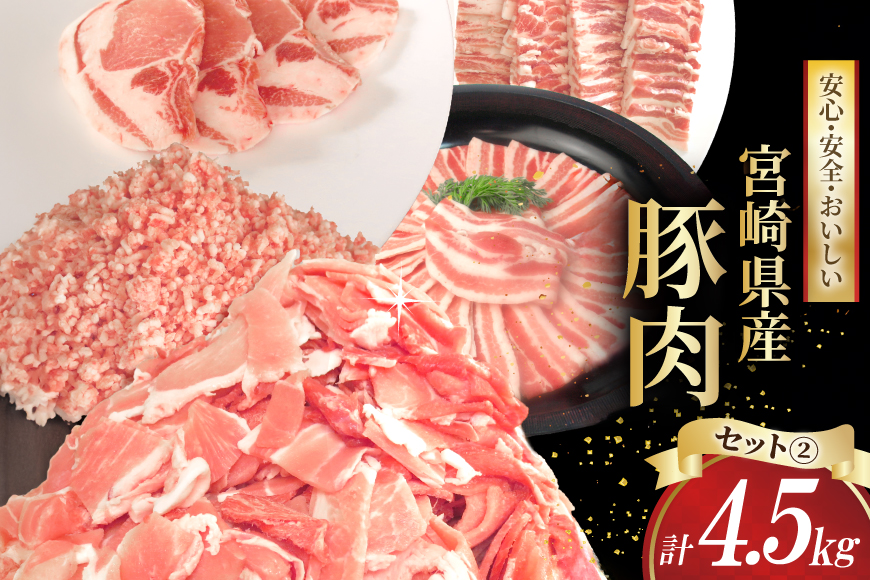 豚肉 宮崎県産 豚肉 選べる バラエティ セット2 合計4.5kg [南九フーズ 宮崎県 日向市 452061301-b] セット 切り落とし 小分け バラ こま切れ ロース 詰め合わせ ミンチ 豚ミンチ とんかつ 焼肉