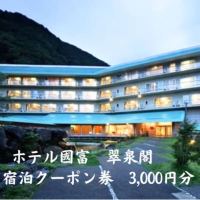 ホテル国富 翠泉閣 宿泊クーポン券 3,000円分【新潟県 糸魚川市 温泉 源泉かけ流し 】【1713453】