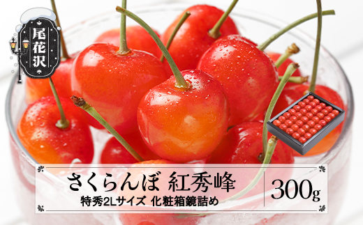 
                  2027年産 先行予約 さくらんぼ 紅秀峰 特秀2Lサイズ 300g 6月中旬~7月上旬頃発送 化粧箱鏡詰め 令和9年産 山形県産 ns-bst2x300
                