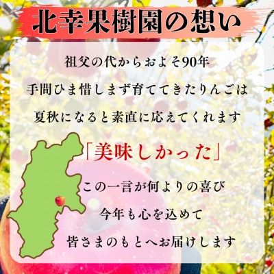 【2025年先行受付】長野直送!信州八ヶ岳のりんごシナノスイート約5kg(12～18玉)蓼科高原【配送不可地域：離島】