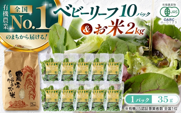 
            山都産ベビーリーフ350gとお米2kgのセット 産地直送 高原野菜 【株式会社 清和ミネラル会】 [YBT012]
          