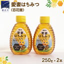 【ふるさと納税】愛妻はちみつ ( 百花 ) 250g × 2個 セット はちみつ ハチミツ 国産 蜂蜜 群馬 おすすめ つまごいビーガーデン