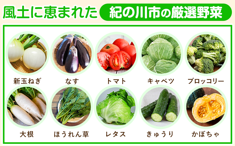 紀の川市の恵み 旬のフルーツ＆野菜セット 計8~10品《30日以内に出荷予定(土日祝除く)》和歌山県 紀の川市 フルーツ 果物 野菜 セット 桃 梅 みかん 新玉ねぎ なす トマト キャベツぶどう シ