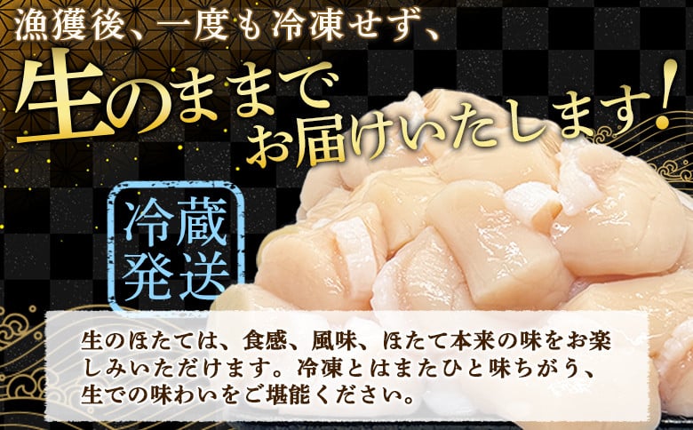 【関東限定！生ほたて】《期間限定》北海道雄武産 生玉ほたて500ｇ塩水パック（冷蔵）