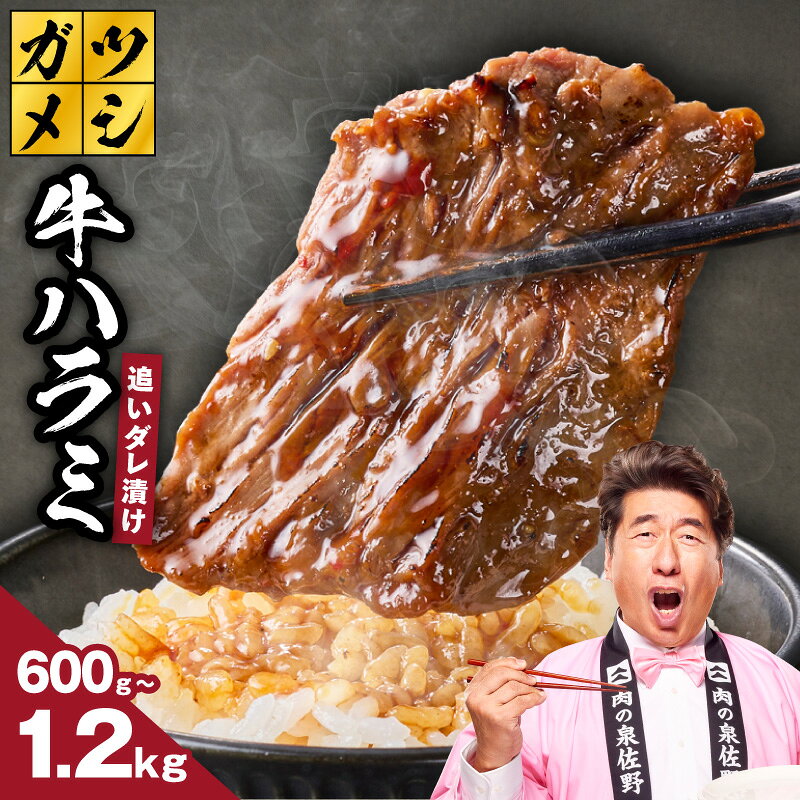 【ふるさと納税】ガツめし 牛ハラミ 追いダレ漬け 選べる 内容量 600g / 1.2kg 小分け 牛肉 ハラミ 焼肉 冷凍 味付け肉 BBQ 肉 晩ご飯 おかず 丼 晩酌 焼くだけ 簡単調理 ご飯のお供 訳あり サイズ不揃い 肉の泉佐野 大阪府 泉佐野市 送料無料