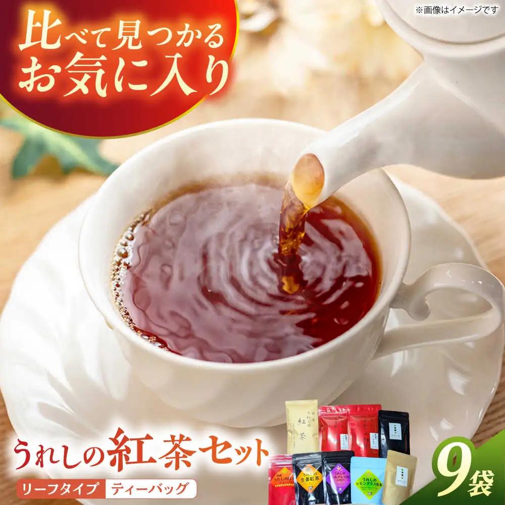 紅茶 うれしの紅茶生産者USセット NAP007 