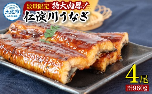 
                  仁淀川特大肉厚うなぎ4尾セット タレ付き うなぎ 鰻 ウナギ 蒲焼き 国産 仁淀川 タレ付き 特大 冷凍 真空パック 高知県 土佐市【株式会社山本養鰻】[BQAL008]
                