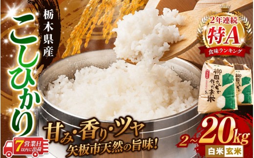 
                  矢板市特別栽培米 お米 こしひかり 玄米 or 白米 選べる | 2kg 5kg 10kg 20kg |栃木県 矢板市
                