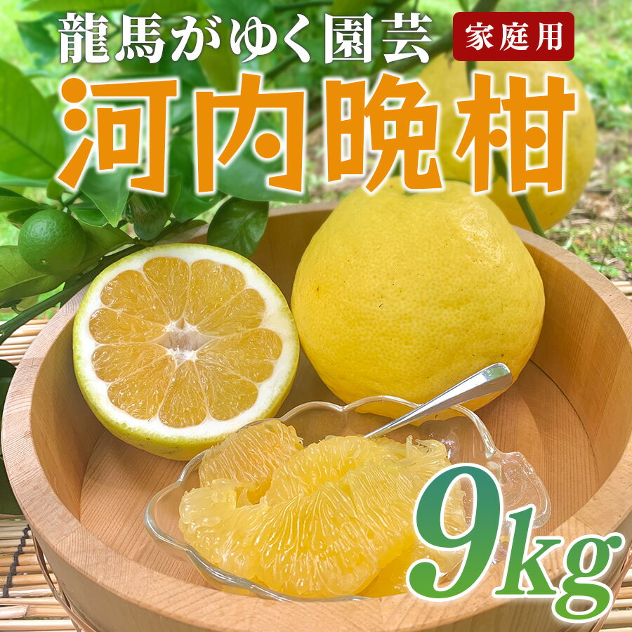 【ふるさと納税】河内晩柑 9kg （M～5L） 【家庭用】 大容量 ばんかん 晩柑 バンカン 夏文旦 みかん 蜜柑 柑橘 フルーツ 果物 サイズミックス 初夏 夏 ジュース お酒 贈答用 ギフト お取り寄せ ビタミン 高知県 大月町 龍馬がゆく園芸