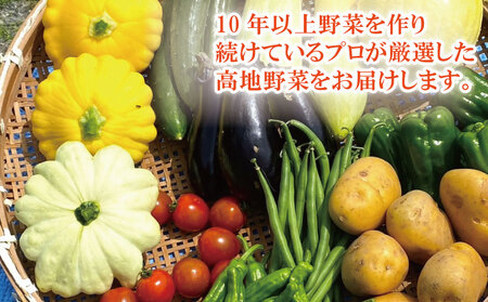 夏野菜 セット 10種 詰合せ 高地野菜 野菜 野菜 野菜 野菜 野菜