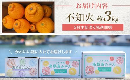 柑橘の王様　大玉・濃厚な不知火（しらぬい）3ｋｇ　＜2025年3月中旬より発送開始＞