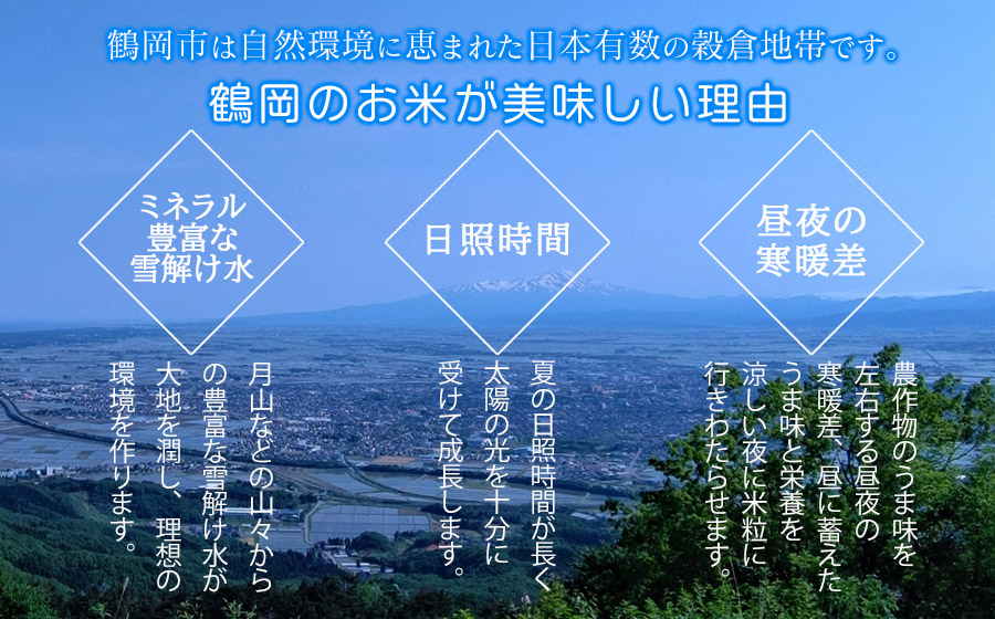 【令和7年産先行予約】【定期便】山形はえぬき 精米10kg(5kg×2袋)×12ヶ月　山形県鶴岡市産　鶴岡ファーマーズ