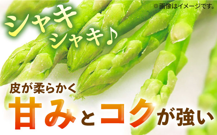 壱岐産 アスパラガス 1kg《壱岐市》【壱岐市農業協同組合】[JBO004] 野菜 旬 春野菜 夏野菜 新鮮 産地直送 アスパラ 冷蔵配送 先行予約 季節の野菜 グリーンアスパラガス 11000 11