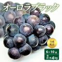 【ふるさと納税】【2025年 先行予約】 オーロラブラック 6～10房 合計約4kg 冷蔵配送 ぶどう 葡萄 フルーツ 果物 岡山 高梁市　お届け：2025年8月中旬～2025年9月下旬