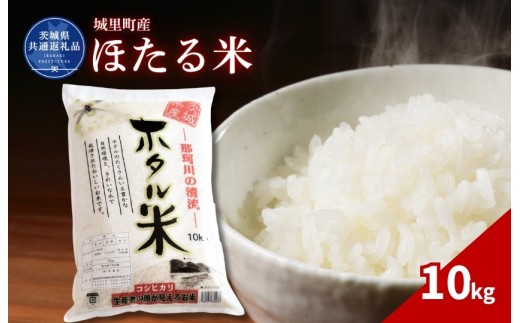 ほたる米 10kg 米 こめ コメ お米 おこめ コシヒカリ ホタルマイ 白米 精米 ごはん ご飯 令和7年産 茨城県 城里町 高萩市（茨城県共通返礼品・城里町産）