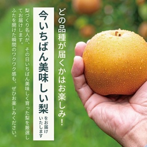 SB0720　酒田産【特選】 和梨 約5kg (9～16玉入) 品種おまかせ : 晩生種 あきづき梨 南水梨 新興梨 大天梨 甘太 王秋