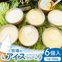 【ふるさと納税】牧場の アイスクリーム セット ( 100g × 6個 ) / アイス ソフトクリーム ミルク デザート スイーツ お菓子 熊本 山都町【山の未来舎】[YBV007]