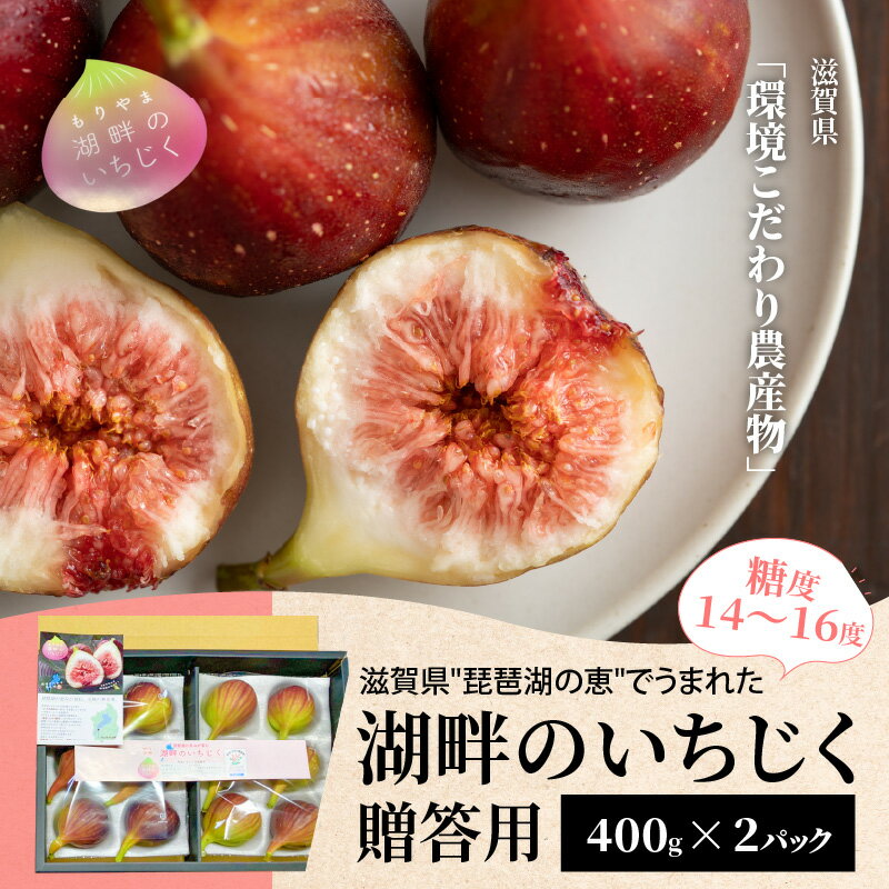 【ふるさと納税】いちじく 400g × 2パック 計 800g 贈答用 湖畔のいちじく 糖度14度〜糖度16度 美活 果物 フルーツ 旬のフルーツ 季節の果物 デザート お土産 贈り物 ギフト プレゼント 冷蔵 お取り寄せ お取り寄せグルメ 送料無料