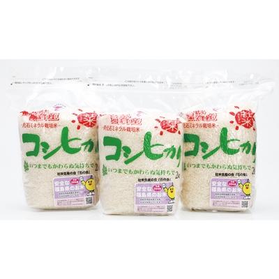 ふるさと納税 棚倉町 社米コシヒカリ白米6kgセット【棚倉ブランド認証第2号】