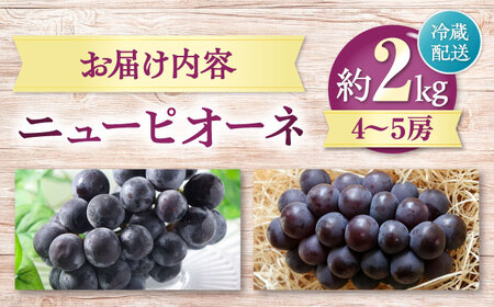 【先行予約】【8月中旬から順次発送】 ニューピオーネ 4から5房 約2kg 愛媛県大洲市/有限会社西山青果　フルーツ 果物 ぶどう ピオーネ[AGAR024]